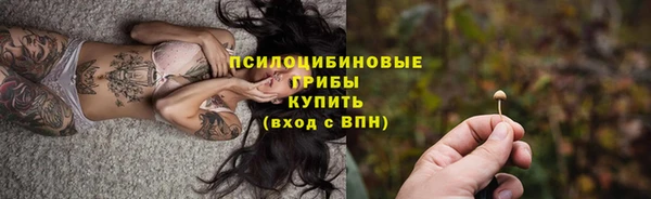 дмт Богородицк