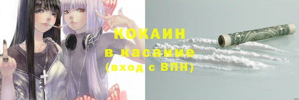 дмт Богородицк