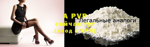apvp Богданович