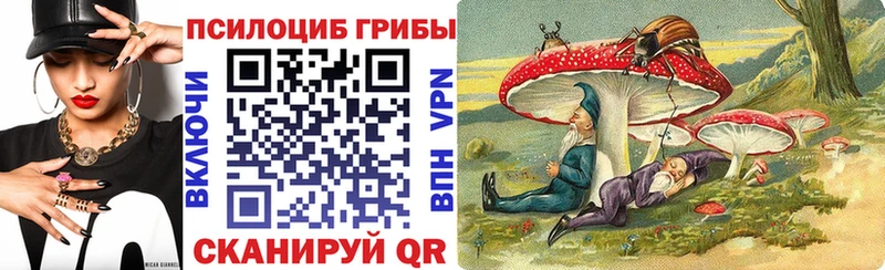Псилоцибиновые грибы мицелий  Сочи 